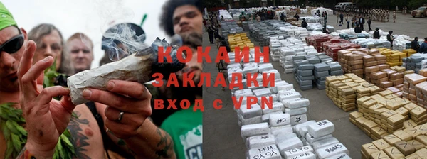 сатива Алзамай