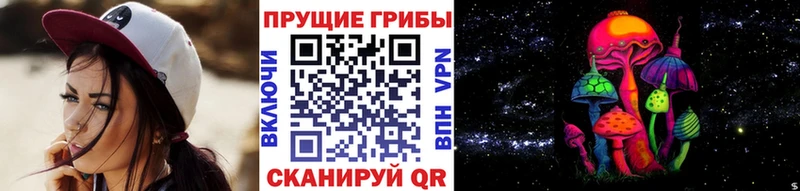 Псилоцибиновые грибы Magic Shrooms  площадка формула  Железноводск  купить наркоту 